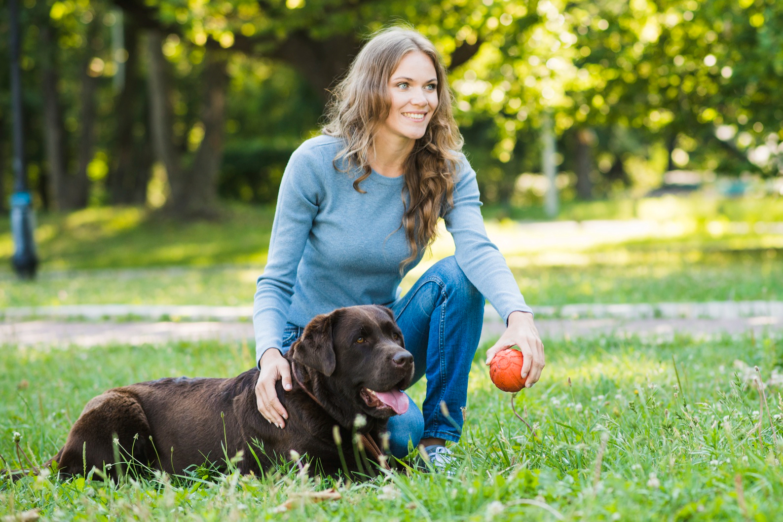 חיזוק הקשר עם כלבך