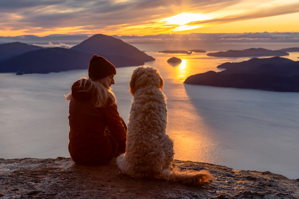 למה לגדל כלב