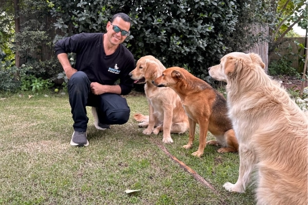 אבינועם - מאלף כלבים