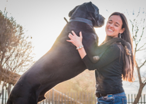 הכלב קופץ על האורחים