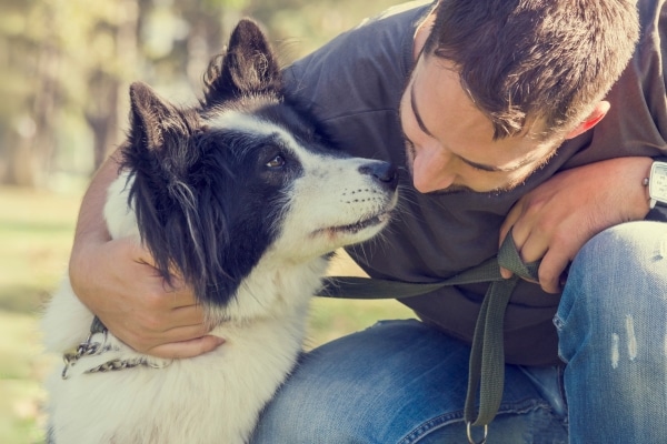 טיפים פשוטים שישנו את חיי הכלב שלכם