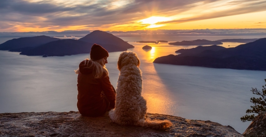 טיפים פשוטים שישנו את חיי הכלב שלכם