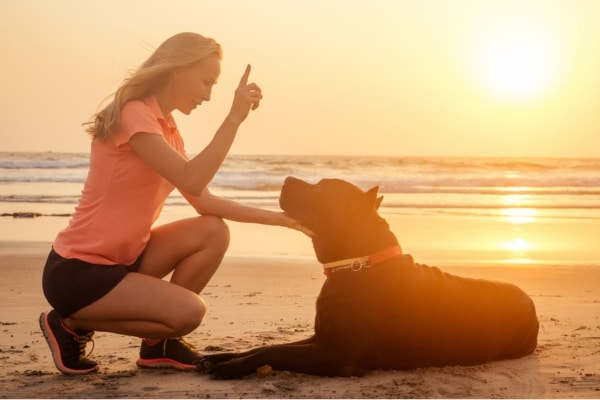 פקודות שימושיות