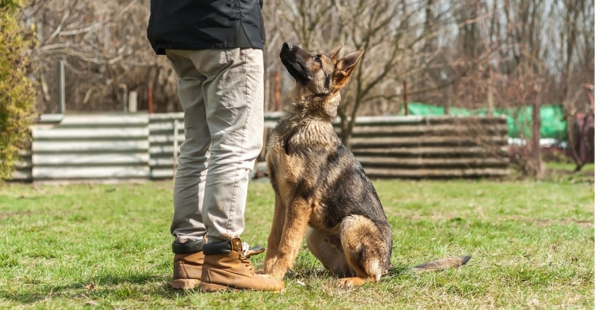 פקודות שימושיות