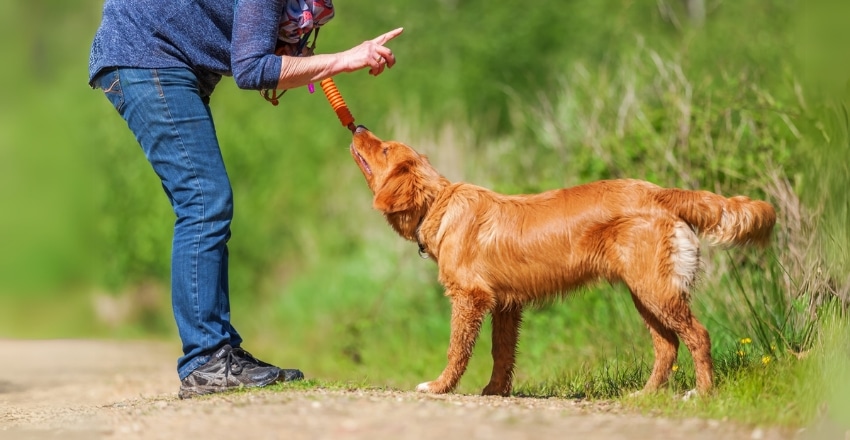 פקודות שימושיות