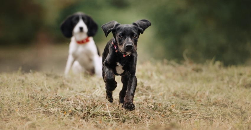 פקודות שימושיות