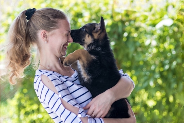 אבינועם מאלף כלבים • אילוף כלבים בצפון • רמת ישי • טבעון • עמק יזרעאל